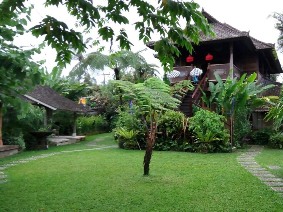 塞莱马德加巴厘岛芒廷山林小屋的前面有绿色草坪的房子