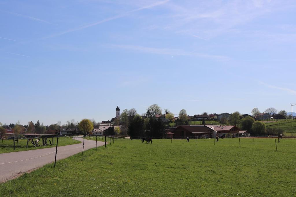 IffeldorfFerienwohnung Pferdehof Pankratz的草地和道路公园