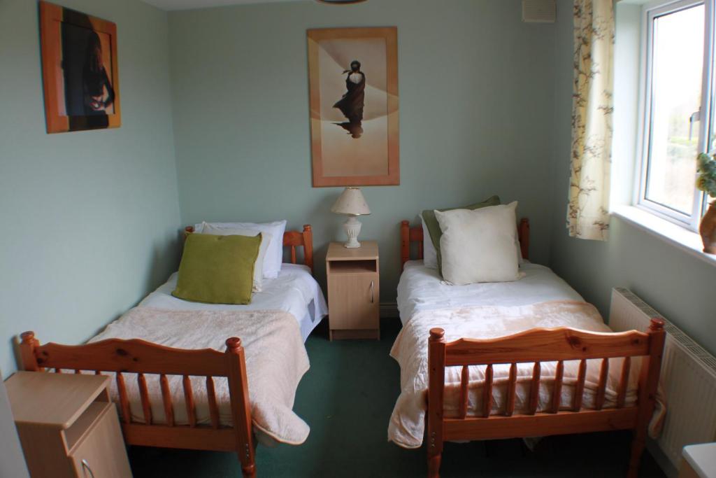波塔姆纳Deerpark B&B的一间卧室设有两张床和窗户。