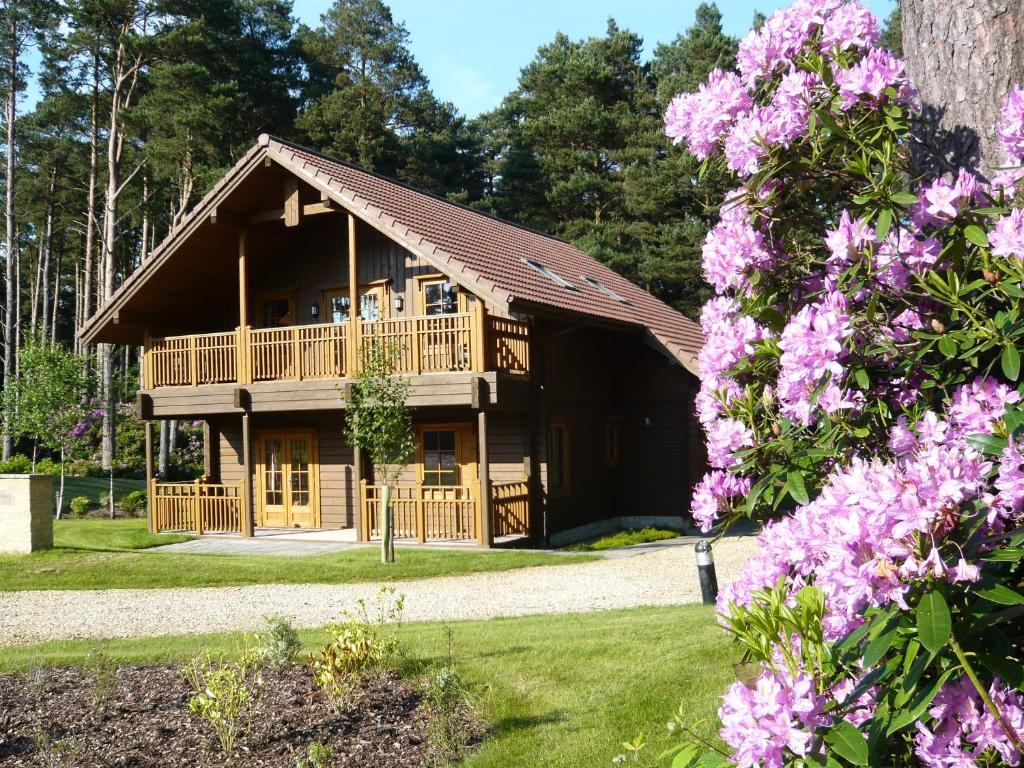 East StokeThe Dorset Resort的小木屋前方有粉红色的花朵