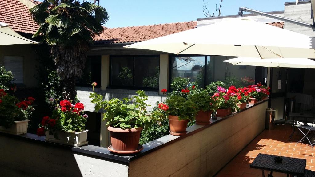 圣莫里吉奥卡瓦纳斯飞天大酒店 的一排带雨伞的盆栽植物
