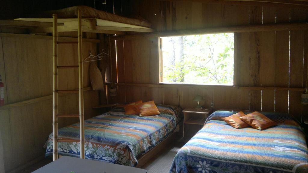 比尔卡班巴Rumi Wilco Ecolodge & Nature Reserve-Cabañas & Camping的一间卧室设有两张双层床和一扇窗户。