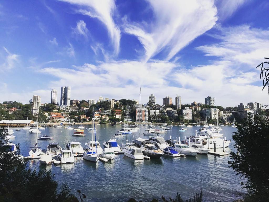 悉尼Double Bay Harbour-front apartment with stunning views的相册照片