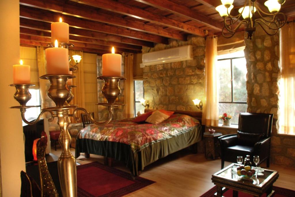 梅图拉Beit Shalom Historical boutique Hotel的一间卧室,卧室内配有一张床和一把椅子