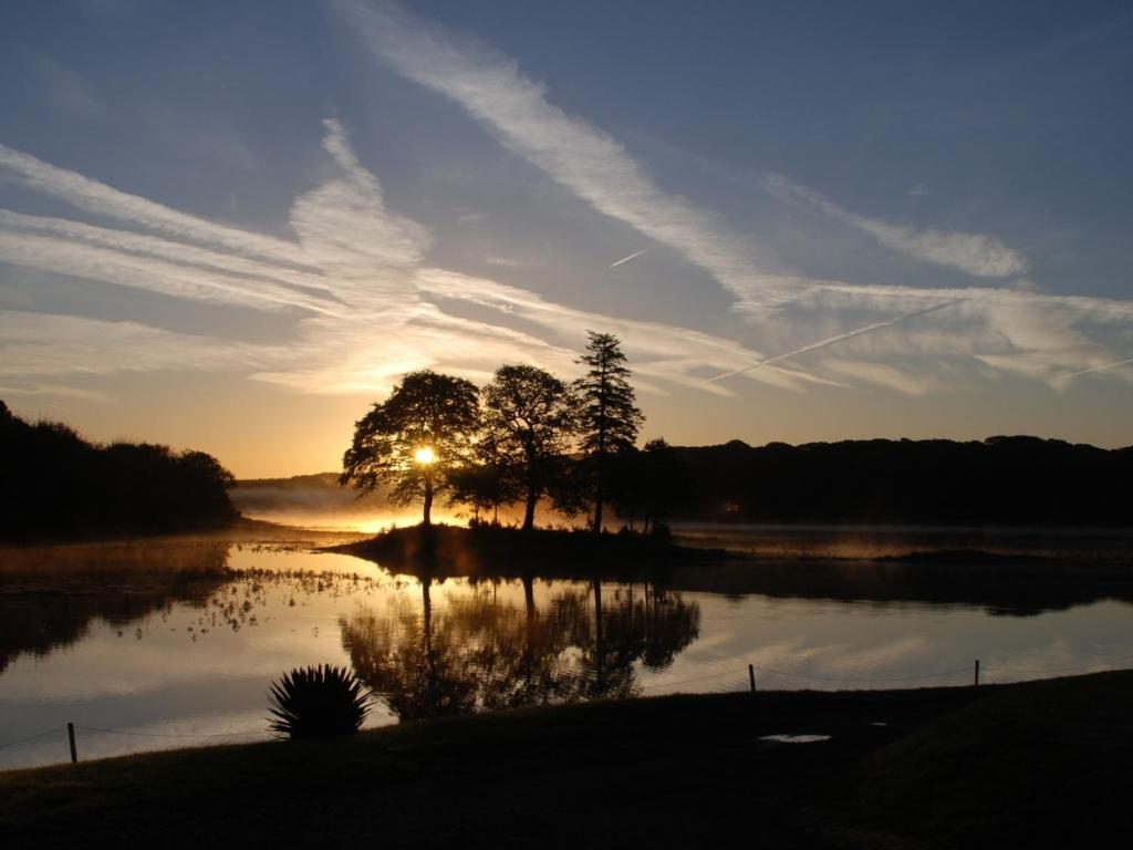 WistonSlebech Park Estate的日落时分在湖中树