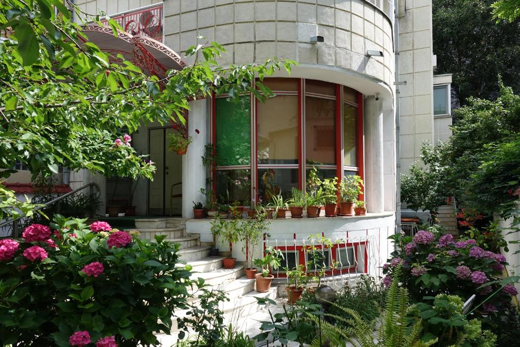 布加勒斯特维拉A&B酒店的前面有盆栽植物的房子