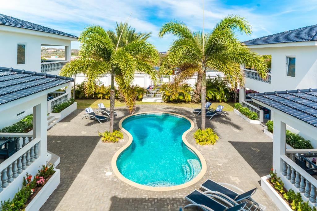 威廉斯塔德Palm Crest的享有棕榈树和椅子的游泳池的顶部景致