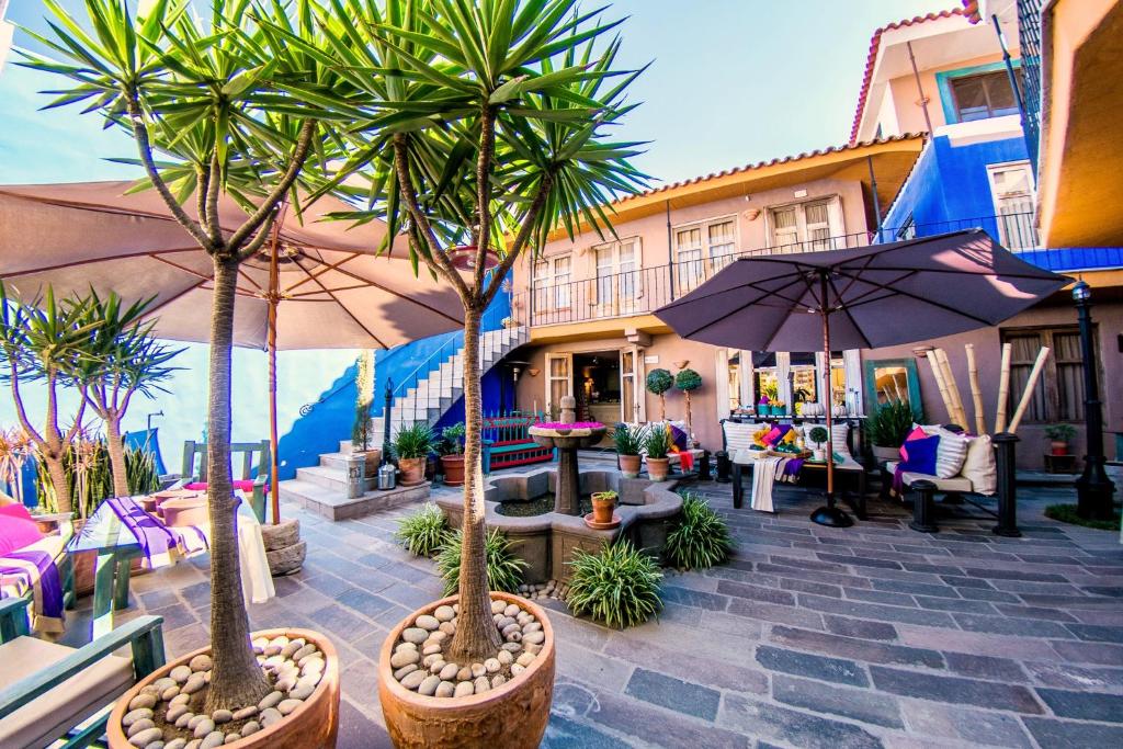 阿雷基帕蓝色殖民地酒店的一个带两棵棕榈树和遮阳伞的庭院