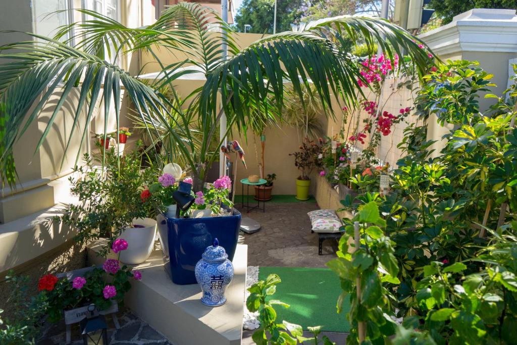 圣克鲁斯-德特内里费Casa Kilig的台阶上种有植物和花瓶的花园