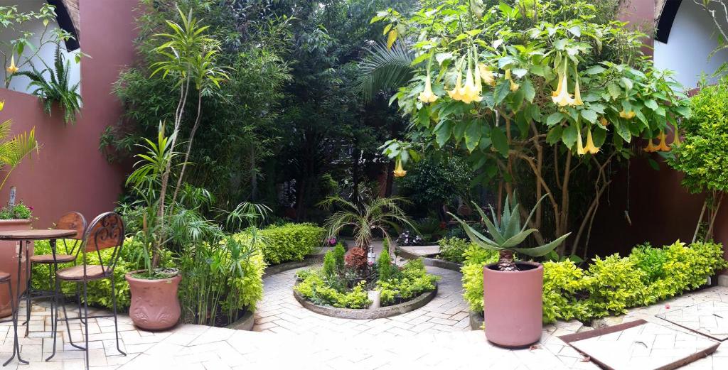 圣克里斯托瓦尔-德拉斯卡萨斯阿克斯坎阿特酒店的种有植物和树木的花园