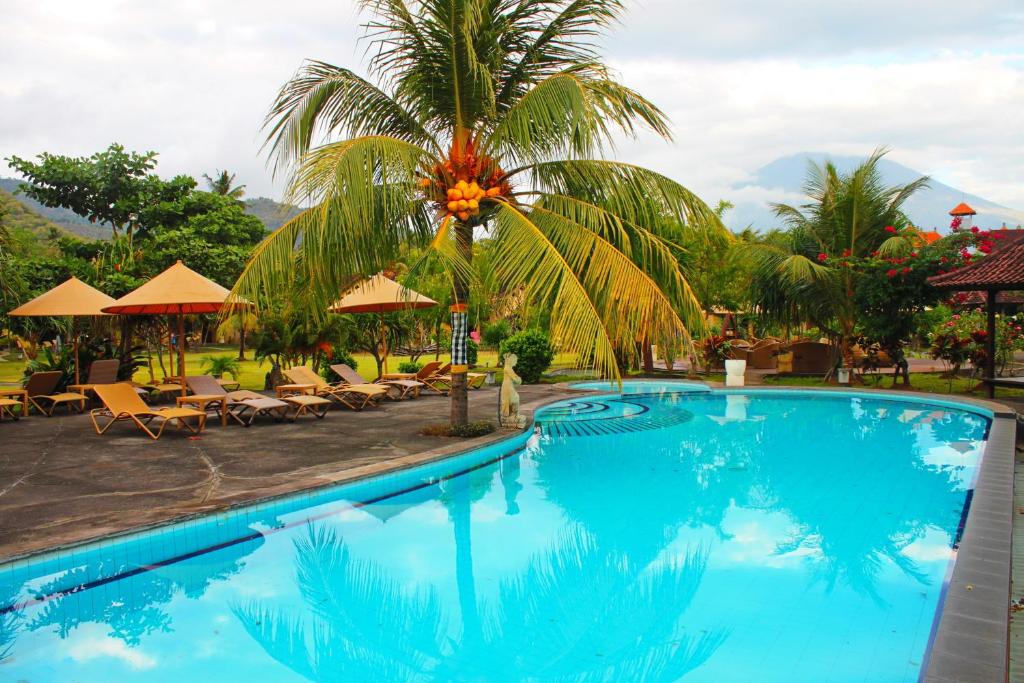 艾湄湾雅艾姆德Spa度假村的棕榈树和椅子的度假村的游泳池