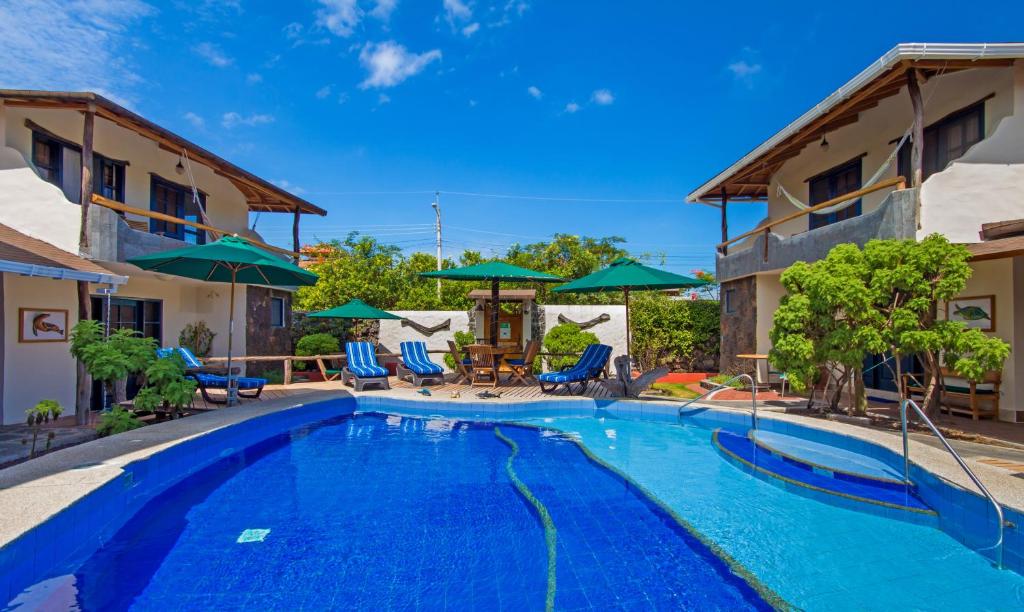 阿约拉港加拉帕戈斯度假屋的一座带椅子和遮阳伞的游泳池位于一座建筑旁边