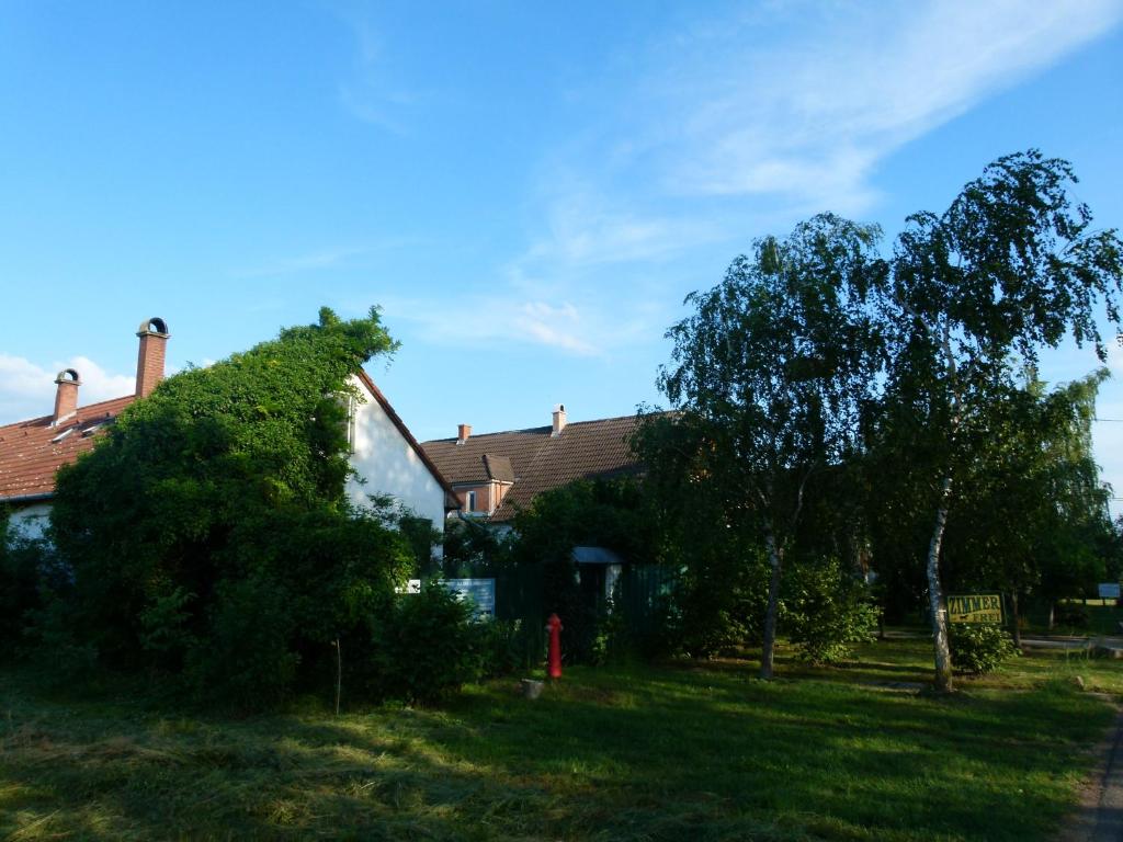 霍尔托巴吉Hajdu Lovasudvar Hortobágy的院子里有树和消防栓的房子