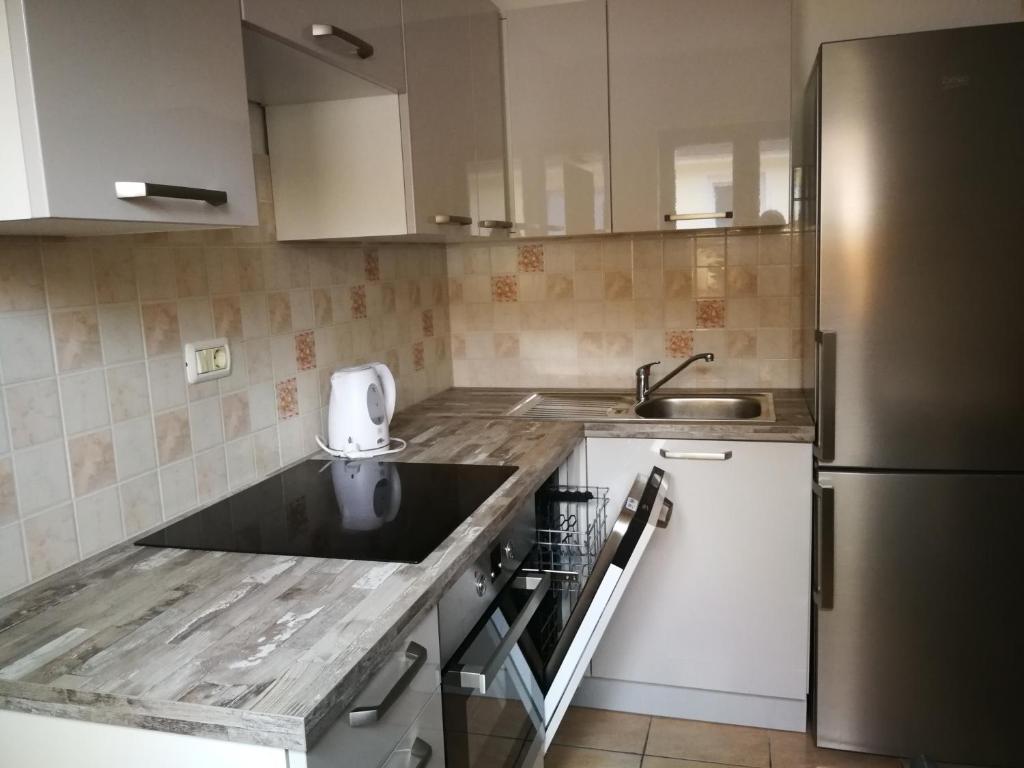 Črni KalHouse Čeh的厨房配有水槽和冰箱