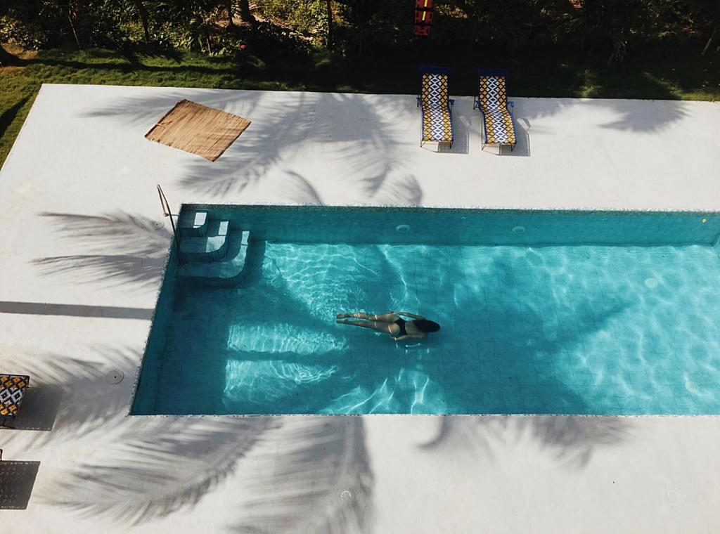 帕洛米诺Casa del Pavo Real Boutique Hostel的游泳池的顶部景色,里面有海龟