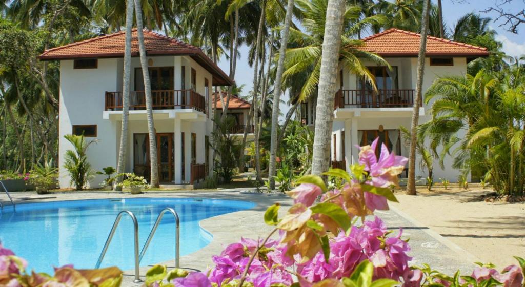 坦加拉Good Karma的一个带游泳池和棕榈树的度假村