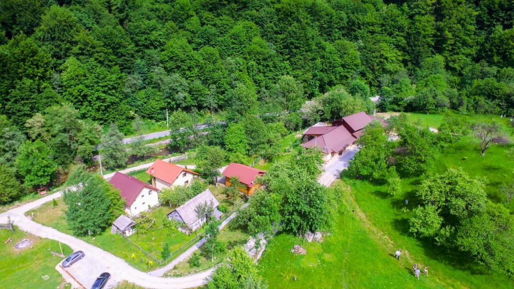 CosteştiPensiunea Lupul Dacic的森林中间房屋的空中景观