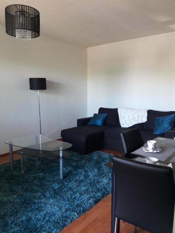 于韦斯屈莱Apartment Kivistö with balcony, 2 km from the center free parking的客厅配有黑色沙发和蓝色地毯。