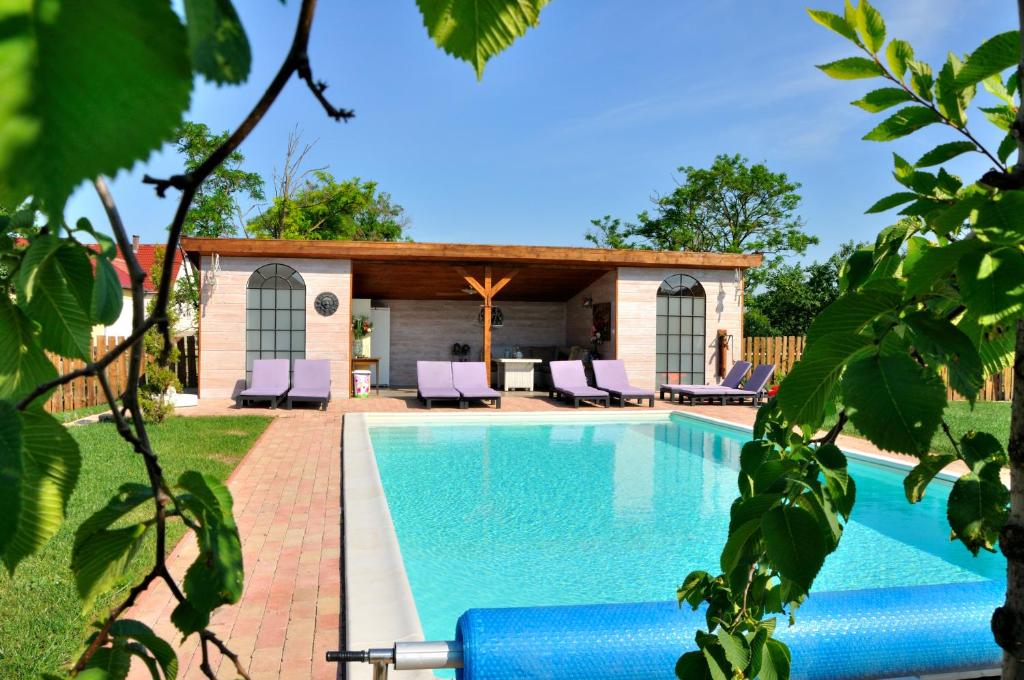 波罗斯洛Tisza Topic的一个带椅子的庭院和房子的游泳池