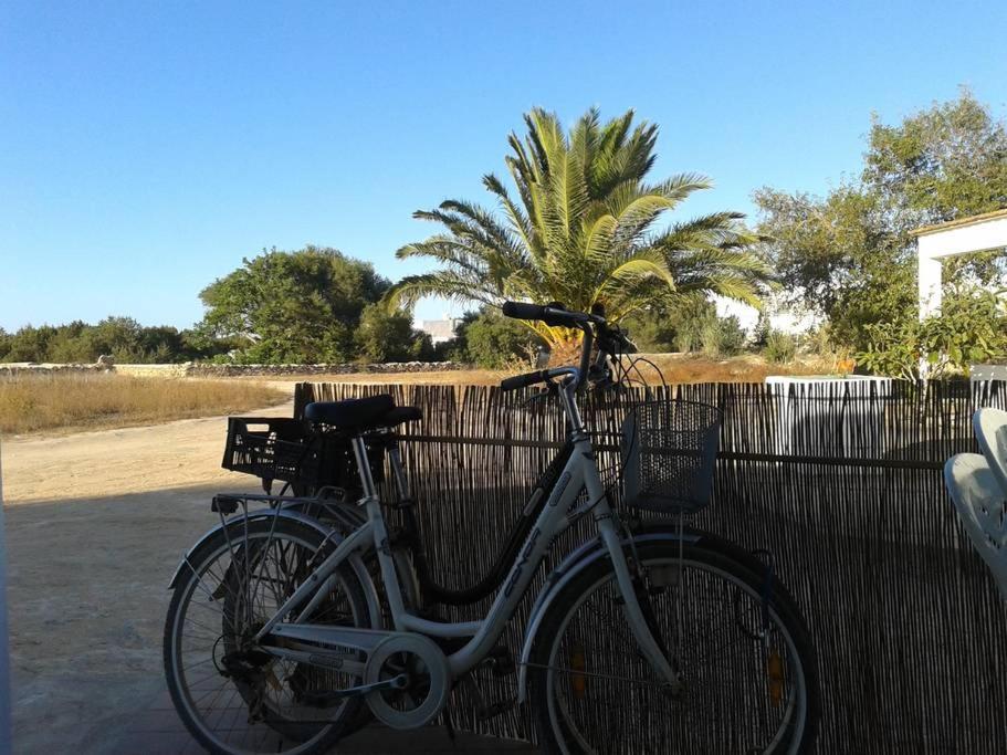 圣弗朗西斯科哈维尔Sa Figuera的自行车停在围栏旁
