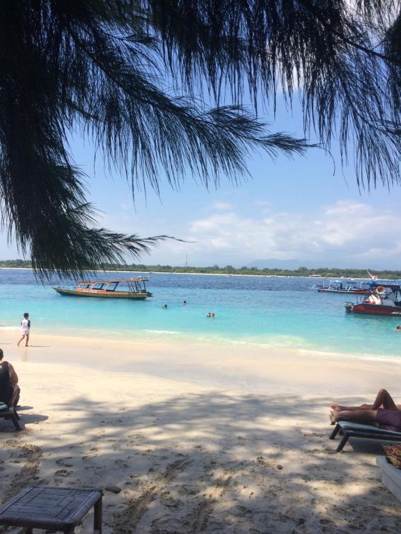 吉利特拉旺安吉利海龟度假酒店的海滩上有船只和人