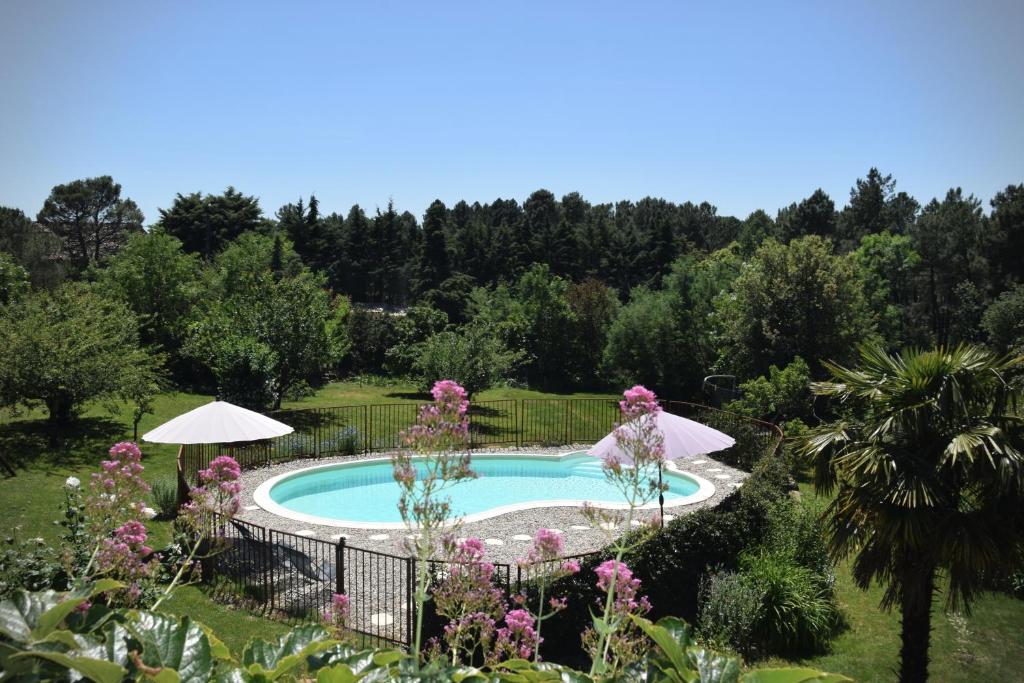 AilhonOmbre Bleue Du Figuier, Ailhon的花园中的一个游泳池