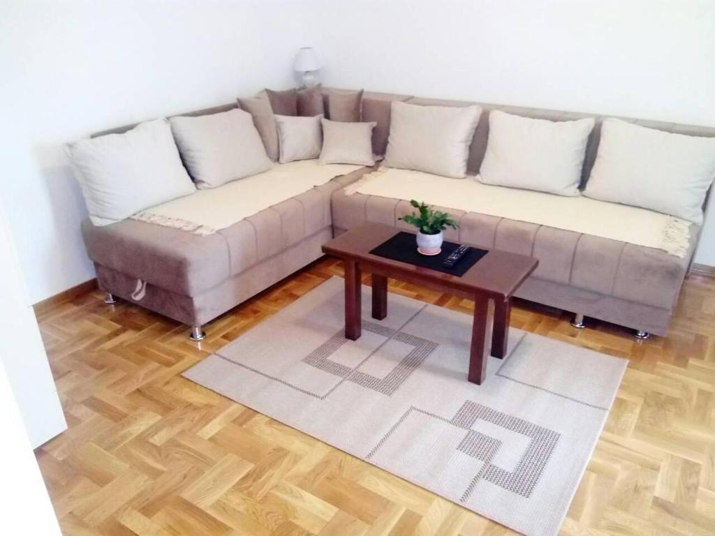 弗尔尼亚奇卡矿泉镇Apartment Laća的带沙发和咖啡桌的客厅
