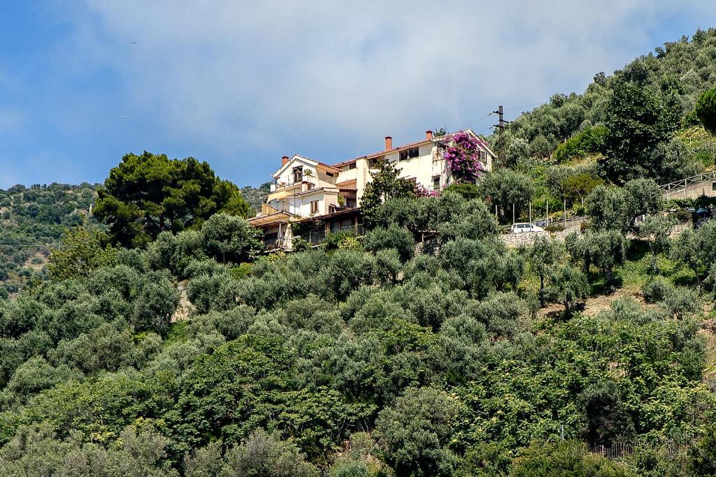 维克艾库塞La Fusarella Villa Santoro的山边树木的房子