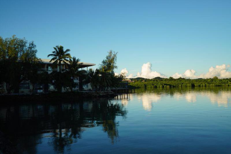 科罗尔海洋之星酒店 的享有棕榈树和建筑的河流美景