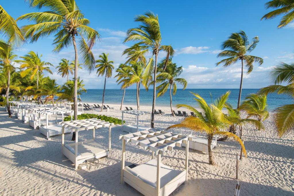 蓬塔卡纳蓬塔卡纳加泰罗尼亚全包酒店的棕榈树海滩上的一排白色椅子