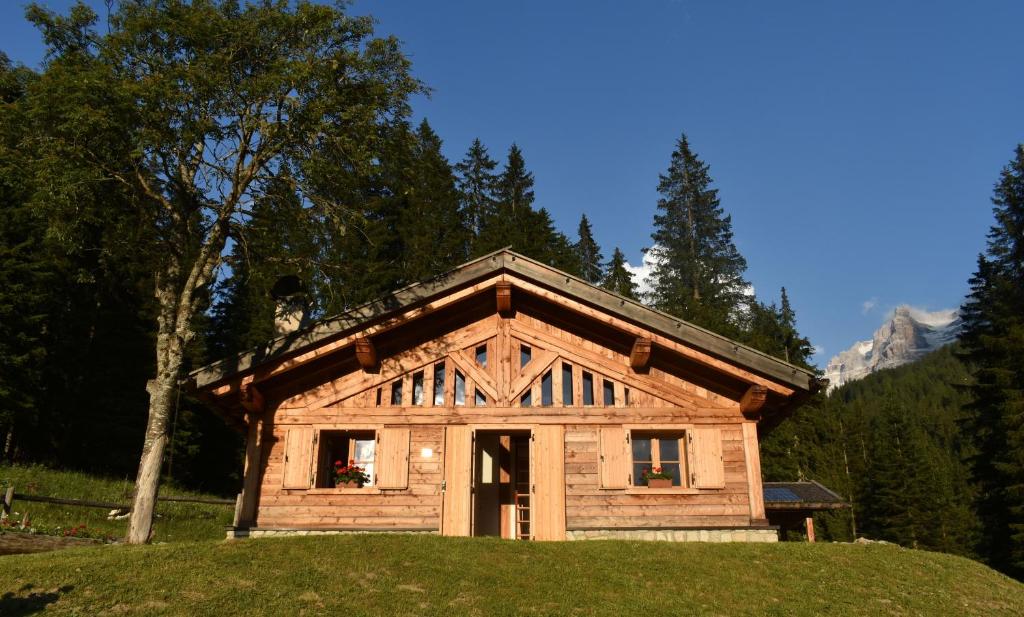 摩德纳迪-坎皮格里奥Chalet Brenta Dolomites的一座小木房子,位于一座树木繁茂的山丘上