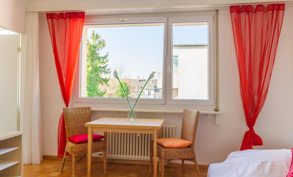 巴塞尔Apartment am Rhein的客房设有桌椅和窗户。