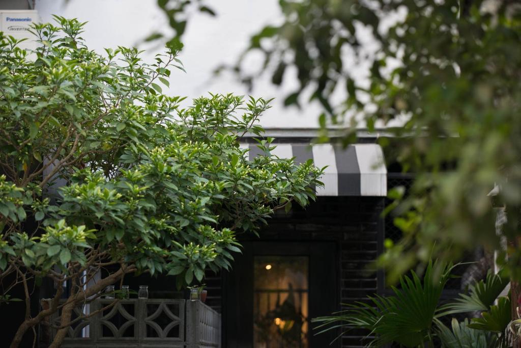 台南被愛咖啡小旅館 Birdeye Garden的前方有树门廊的房子