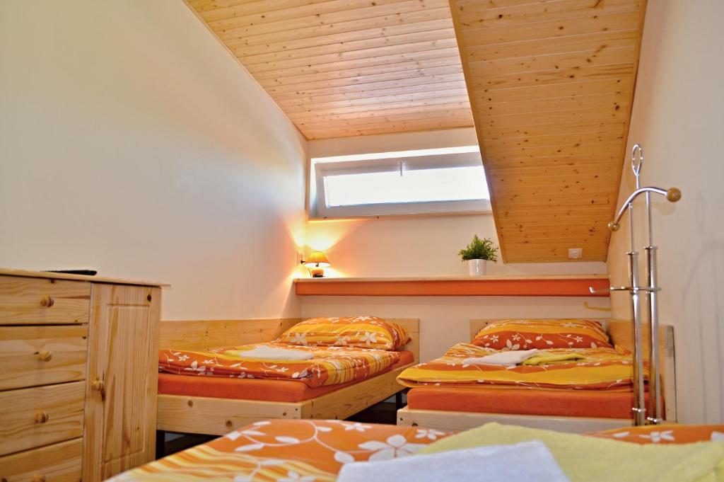 捷伊科维采Vinařství Koliba的一间卧室设有两张床和窗户。