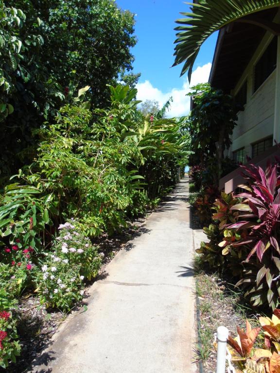 基黑Aloha KAI - Resort Condo的花房旁的花园小径