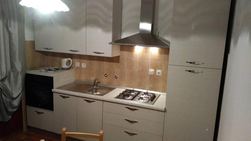 奥米什Apartmani Branko Vojnovic的一间带水槽和炉灶的小厨房