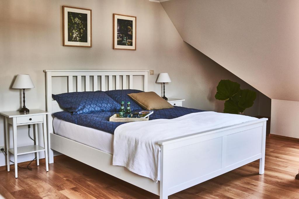 波兰尼卡-兹德鲁伊Karolina的一间卧室配有白色床和蓝色枕头