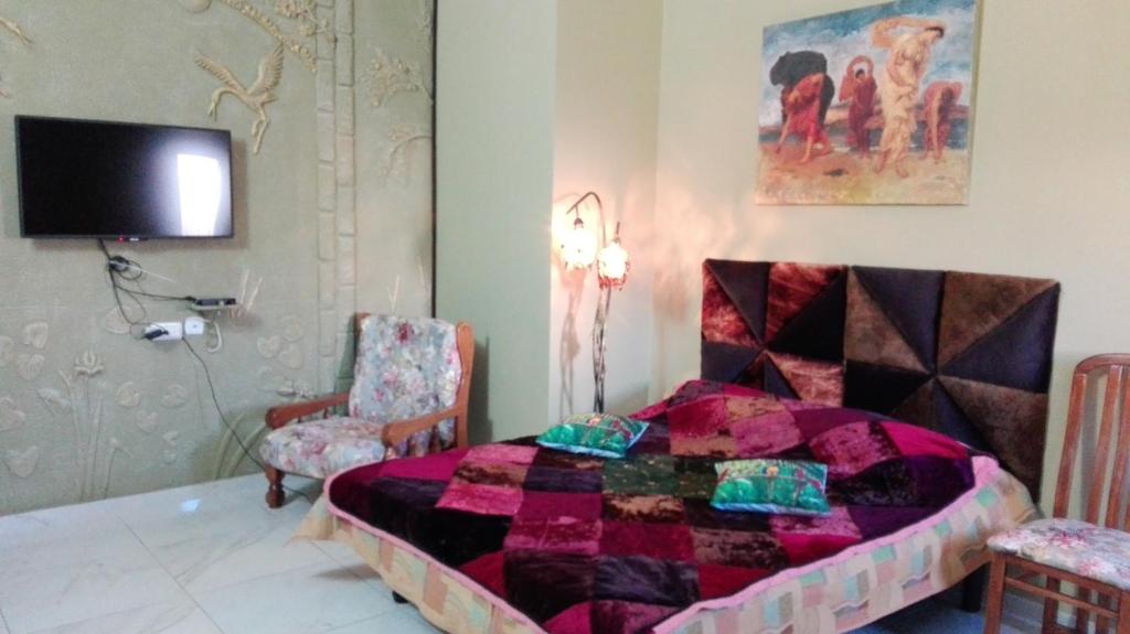 Bruchim Qela' AlonDomskazka的卧室配有一张床,墙上配有电视。