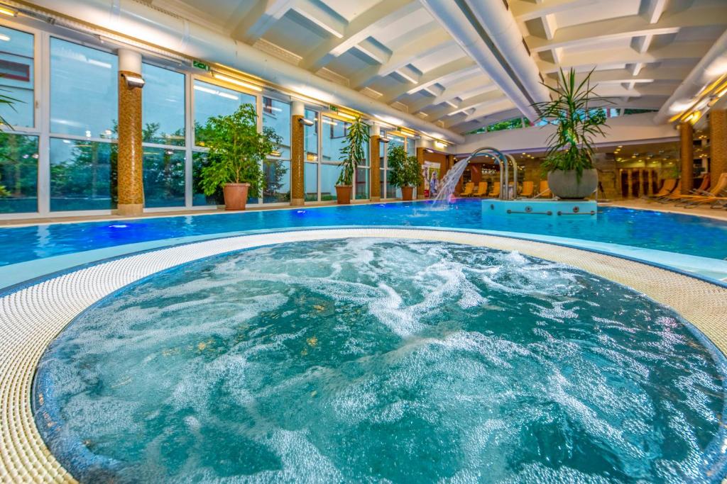 哈卡尼Dráva Hotel Thermal Resort的酒店的大型游泳池