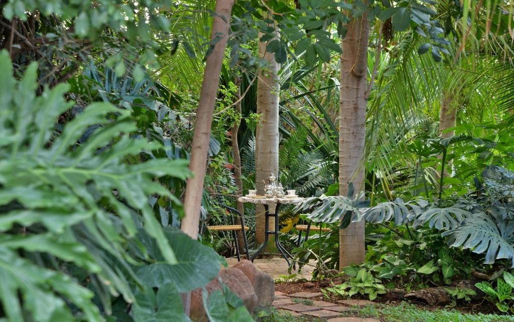 卡萨内Kasane Self Catering的种有树木和植物的花园中的鸟儿浴