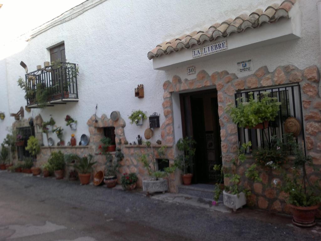 HinojaresCasa Rural La Liebre的前面有盆栽植物的白色建筑