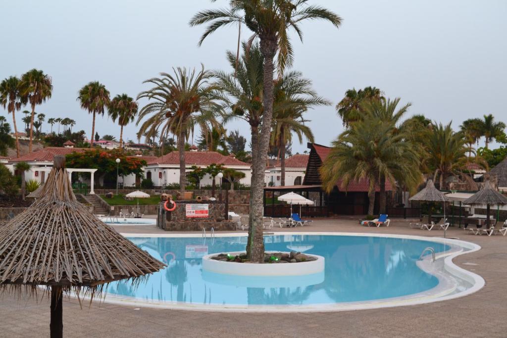 马斯帕洛马斯Maspalomas Experience Holiday House的度假村内棕榈树游泳池
