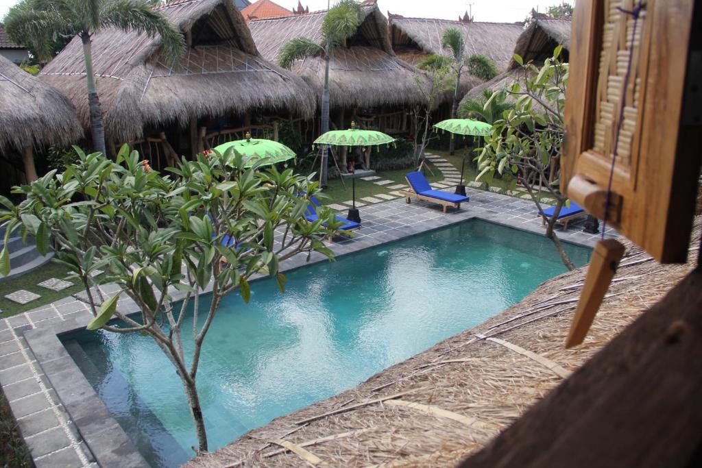 坎古棕榈树别墅酒店的一个带椅子和遮阳伞的度假村游泳池