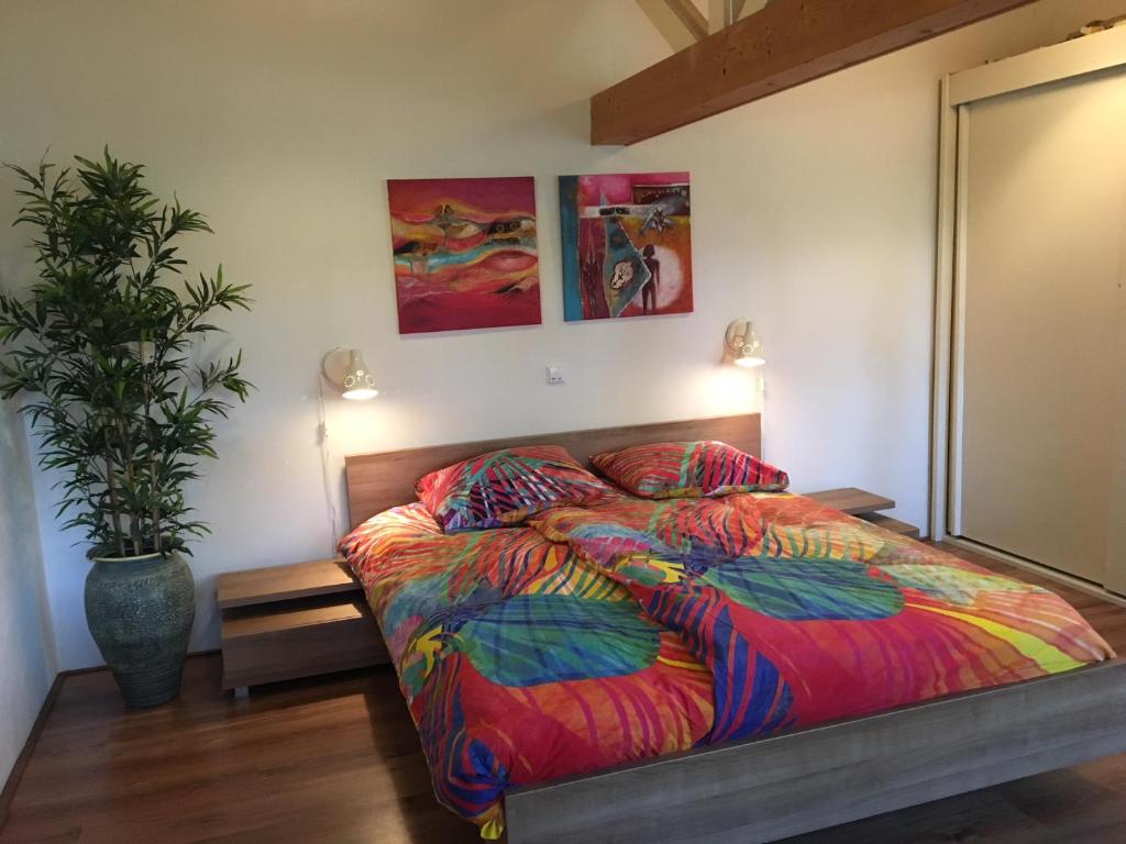 胡弗拉肯The Old Barn的一间卧室配有一张带五颜六色的棉被和植物的床