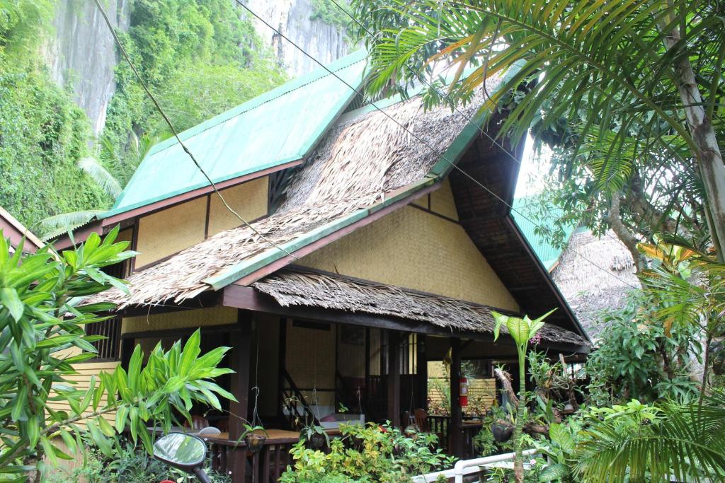 爱妮岛悬崖边小屋宾馆的丛林中带绿色屋顶的房子
