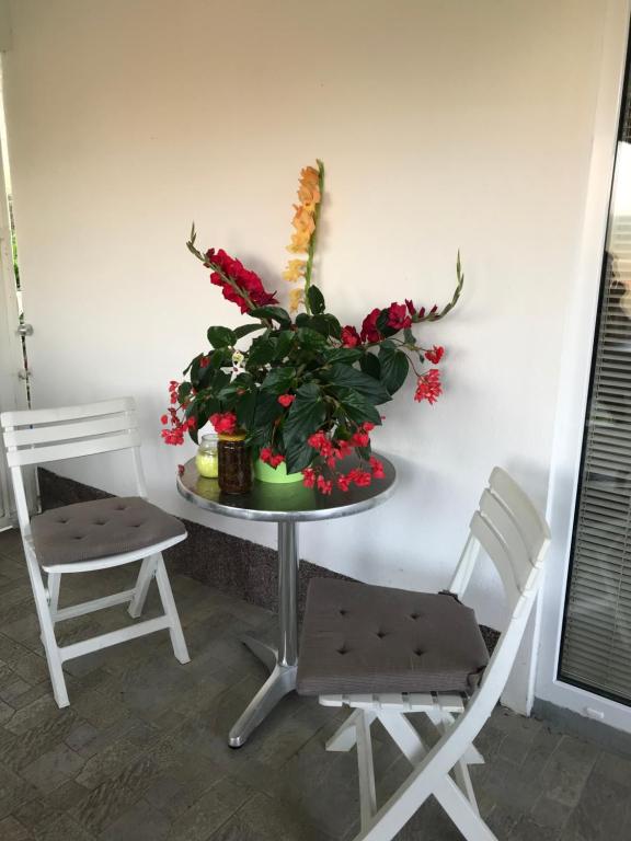 瓦拉日丁托普利采Smještaj Bahat的一张桌子,上面有植物,有两把椅子