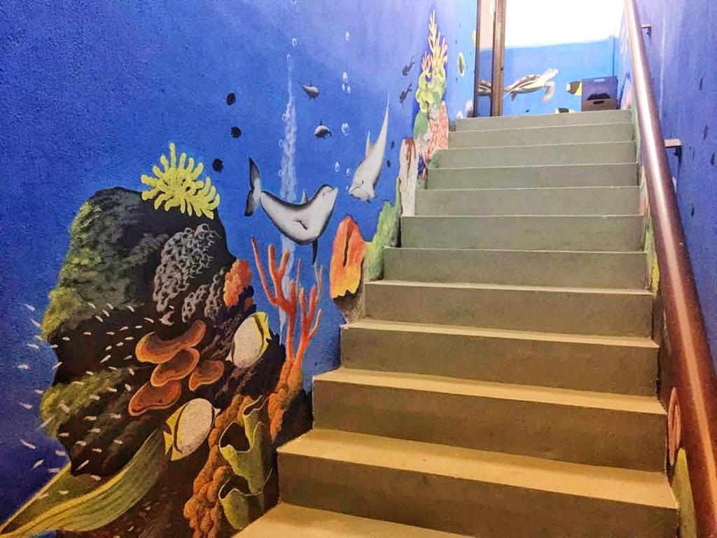 仙本那珊瑚之家民宿的学校教室水下楼梯壁画
