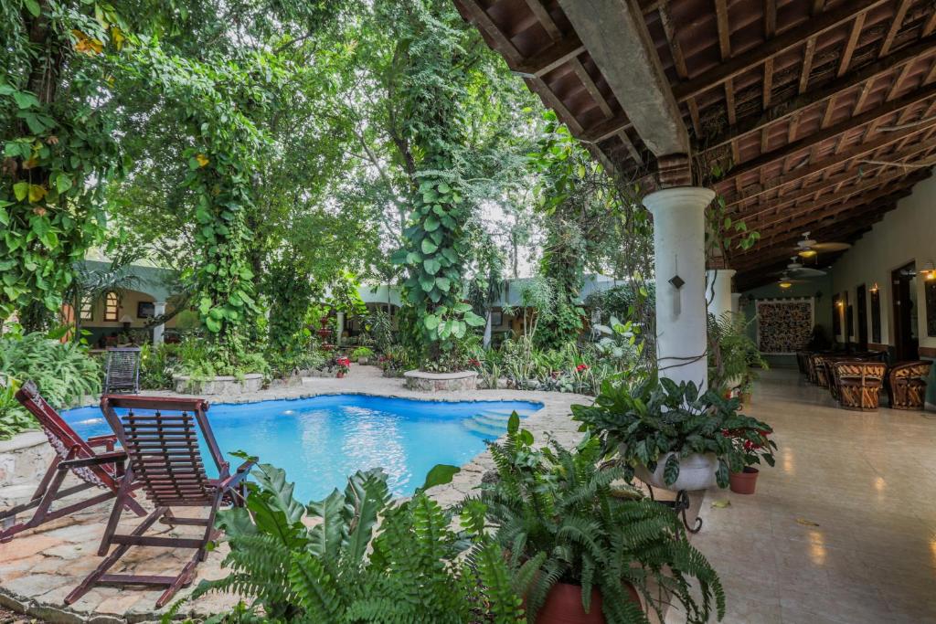 巴利亚多利德Casa Quetzal Hotel的庭院内一个带椅子和植物的游泳池