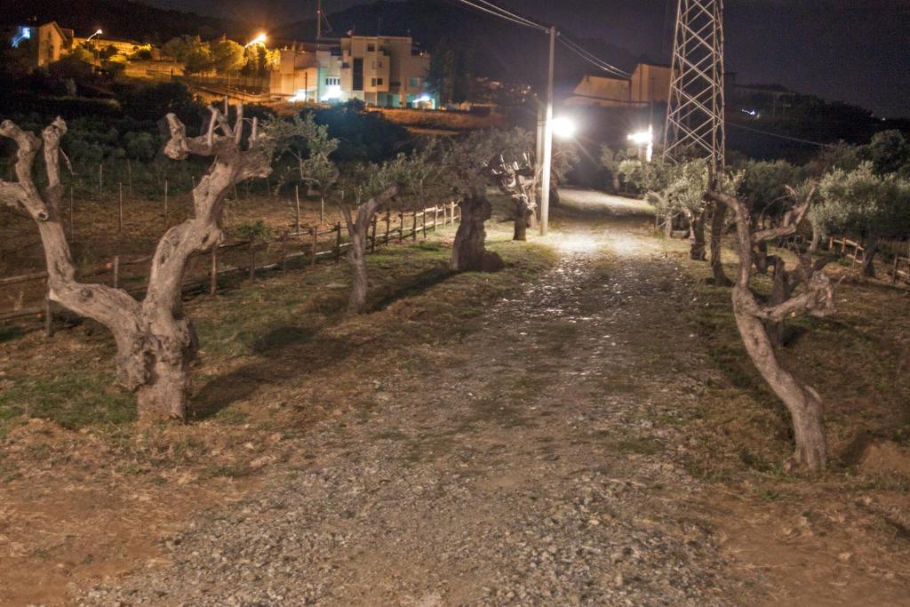 San Demetrio CoroneLa Giara B&B的夜间有树木和栅栏的土路
