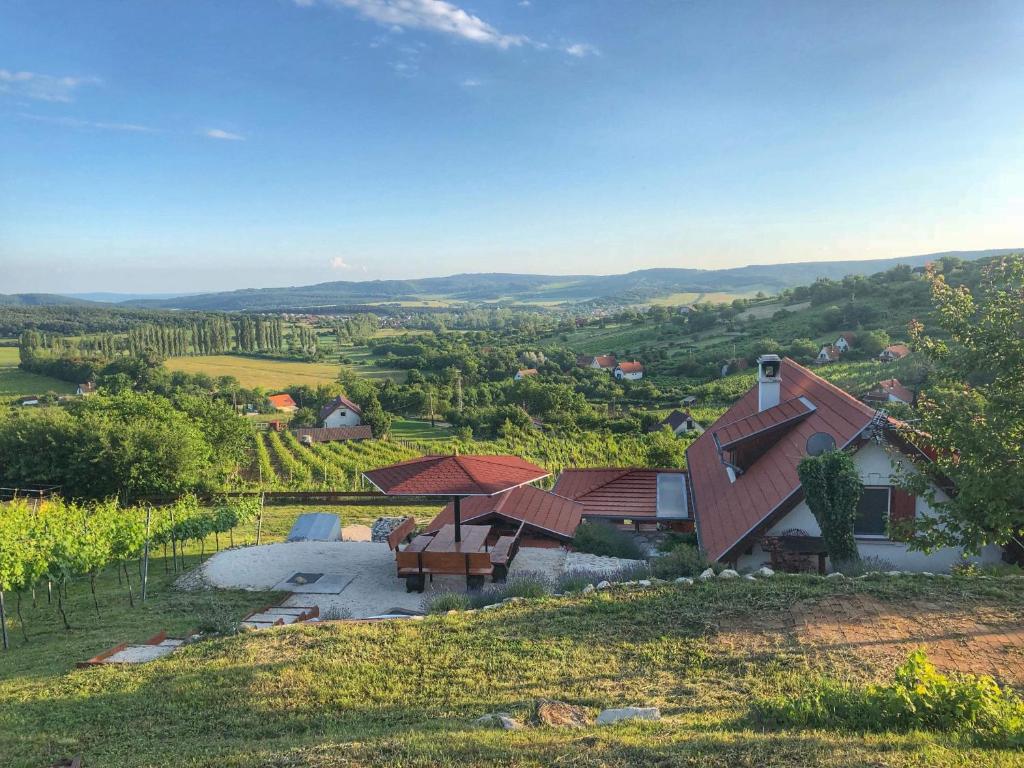 PécselyKikapcsol-lak的葡萄园内房屋的空中景观